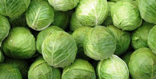 cabbage for a compress for osteoarthritis of the knee