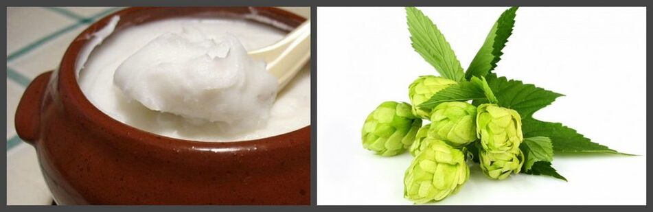 Hops and pork fat for the preparation of medicinal ointments for osteochondrosis